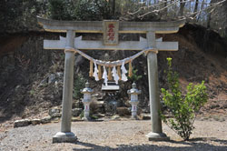 藤森稲荷