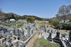 墓地